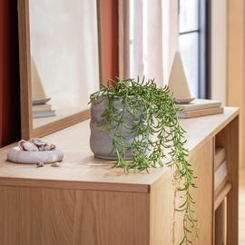 Habitat Artificial Green Trailing Fern Plant - 22.5cm