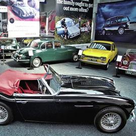 Buyagift 3 Cars Driving & Museum Entry For One Experience