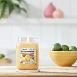 Yankee Candle Large Scented Jar Candle - Zesty Margarita