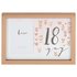 Hotchpotch Luxe 18th Birthday Rose Gold Frame