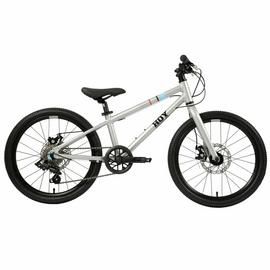 Hoy 20 Inch Wheel Size Adult Mountain Bike