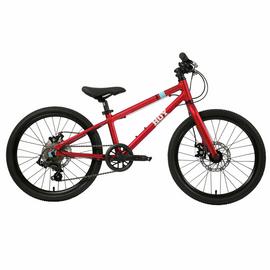 Hoy 20 Inch Wheel Size Kids Mountain Bike