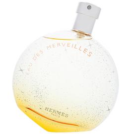 Hermes Eau des Merveilles Eau de Toilette Spray - 100ml