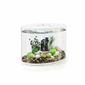 biOrb Loop Aquarium With Multi-Colour Light - White