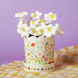 Widdop Love Life Ceramic Plant Pot - Mum