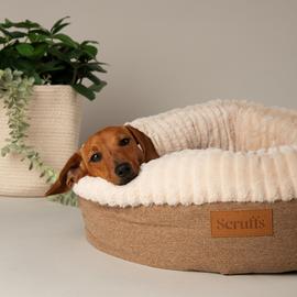 Scruffs Ellen Donut Dog Bed - Extra Large