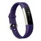 Fitbit Ace Kids Activity Tracker - Power Purple