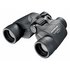 Olympus DPS-I 8x40 Binoculars