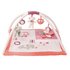 Adele and Valentine Playmat with Arches