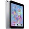 iPad 2018 6th Gen 9.7 In Wi-Fi Cellular SIM 128GBâ€“Space Grey