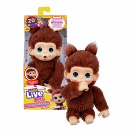 Little Live Pets My Baby Monkey Minis Chikki Cherry Toy