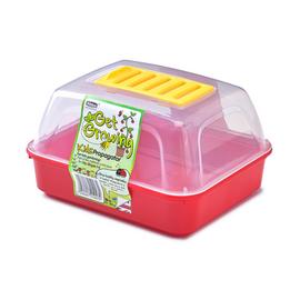 Whitefurze Kids Propagator Cover & Seed Tray Set