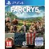 Far Cry 5 PS4 Game