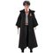 Harry Potter Figure