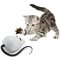PetSafeÂ® FroliCatÂ® RoloRat Automatic Cat Teaser