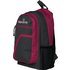 Carbrini 17L Backpack - Grey and Pink