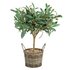 Argos Home Everyday Luxury Artificial Olive Tree