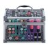 Technic Professional Beauty Case
