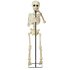 Halloween Animated Skeleton with Microphone