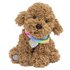 Chad Valley Bright Paws Cookie the Labradoodle Soft Toy