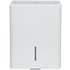 Challenge 10 Litre Dehumidifier