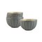 Sainsbury's Home Ceramic Prep Bowls - Grey
