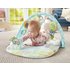 FisherPrice Butterfly Dreams Musical Playtime Baby Gym 