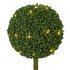 Argos Home LED Boxwood Topiary in a Pot