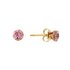 Revere 9ct Yellow Gold Pink Cubic Zirconia Stud Earrings