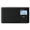 Sony DS41 DAB Radio - Black