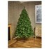Premier Decorations 7ft Prelit Pine Christmas TreeGreen