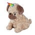 Rainbow Dream Pug Hottie
