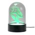 Roarsome Exploresome T-Rex Skull Light