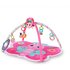 Bright Starts Butterfly Activity Gym