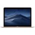 Apple MacBook 2017 12 Inch M3 8GB 256GB - Gold
