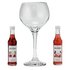 Gin Glass and Monin Syrup Duo Gift Set