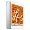 iPad mini 5 2019 7.9 Inch Wi-Fi 256GB - Silver