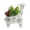 Sainsbury's Home Giraffe Succulent Pot