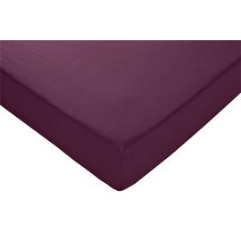Argos Home Cotton Rich 28cm Fitted Sheet