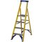 Werner Platform Step Ladder