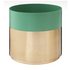Argos Home Rainforest Large Gold Effect Planter