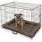 Double Door Pet Cage - Medium