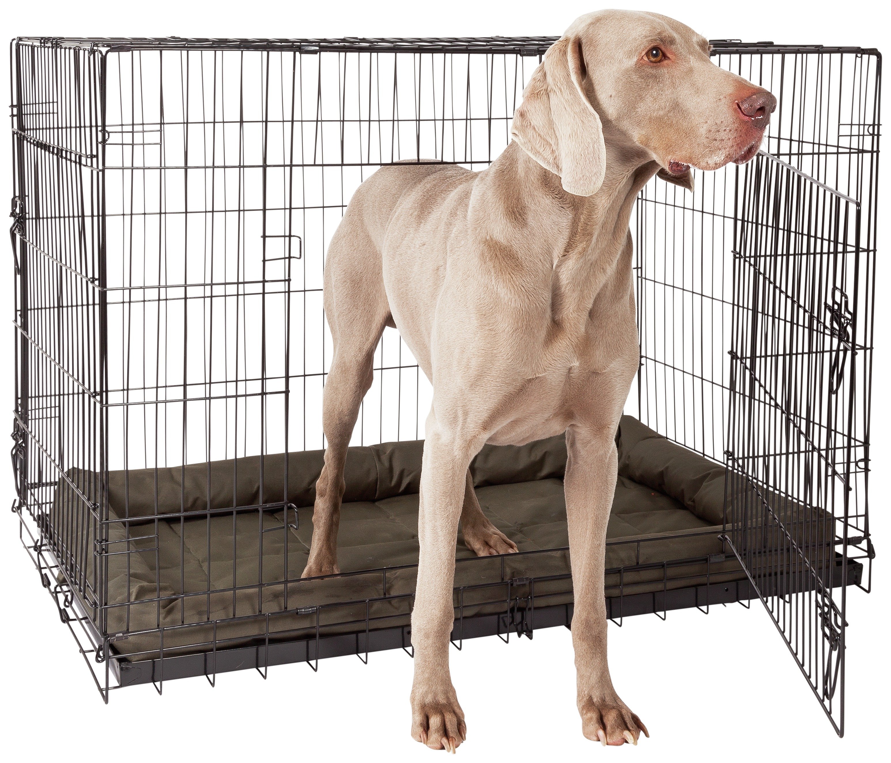 dog cages for cars argos