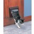 PetSafeÂ® StaywellÂ® Classic 4 Way Locking Cat Flap â€“ Brown 