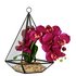 Argos Home Rainforest Faux Orchid Table Vivarium - Pink