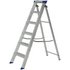 Werner Step Ladder
