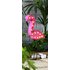 Argos Home LED Garden Flamingo