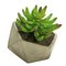 Argos Home Stockholm Faux Succulent in Cement Pot
