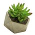 Argos Home Stockholm Faux Succulent in Cement Pot