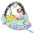 Fisher-Price Stow and Go Activity Gym